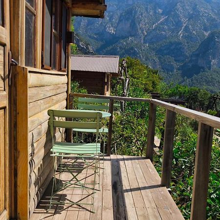 Olive Garden Kabak Hotel ฟารัลยา ภายนอก รูปภาพ