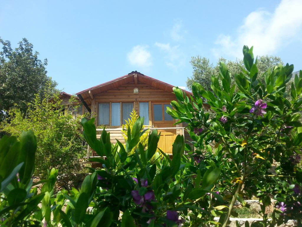 Olive Garden Kabak Hotel ฟารัลยา ภายนอก รูปภาพ