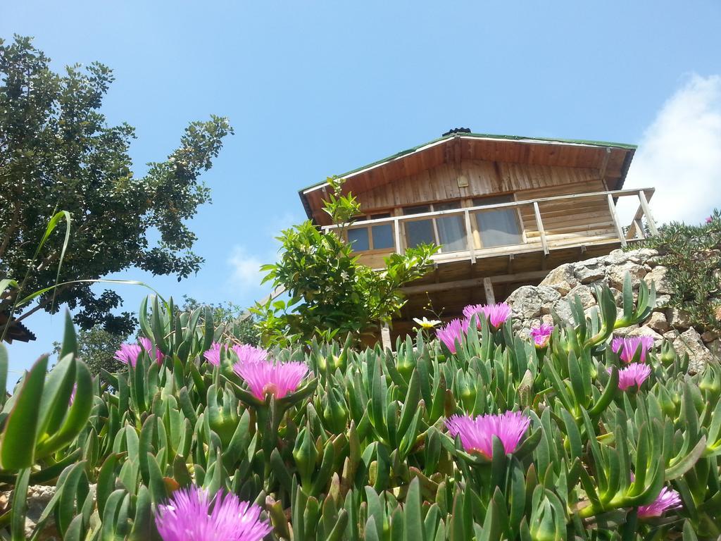 Olive Garden Kabak Hotel ฟารัลยา ภายนอก รูปภาพ