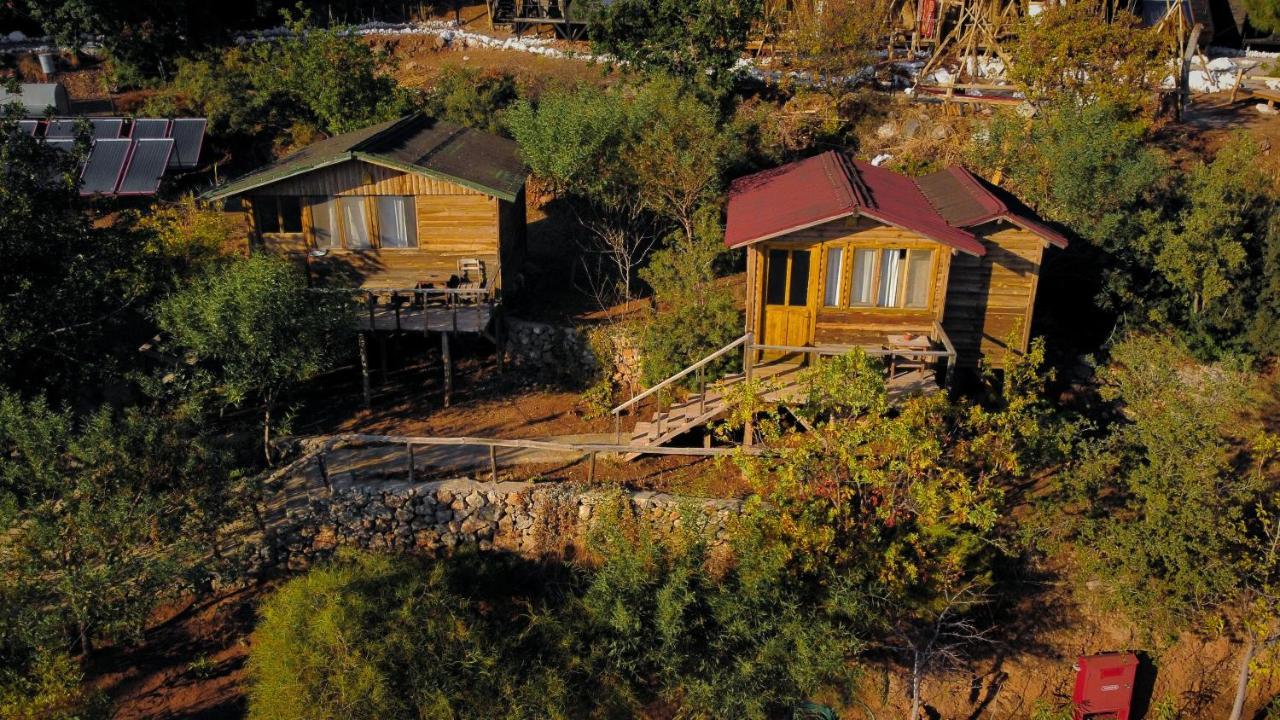 Olive Garden Kabak Hotel ฟารัลยา ภายนอก รูปภาพ