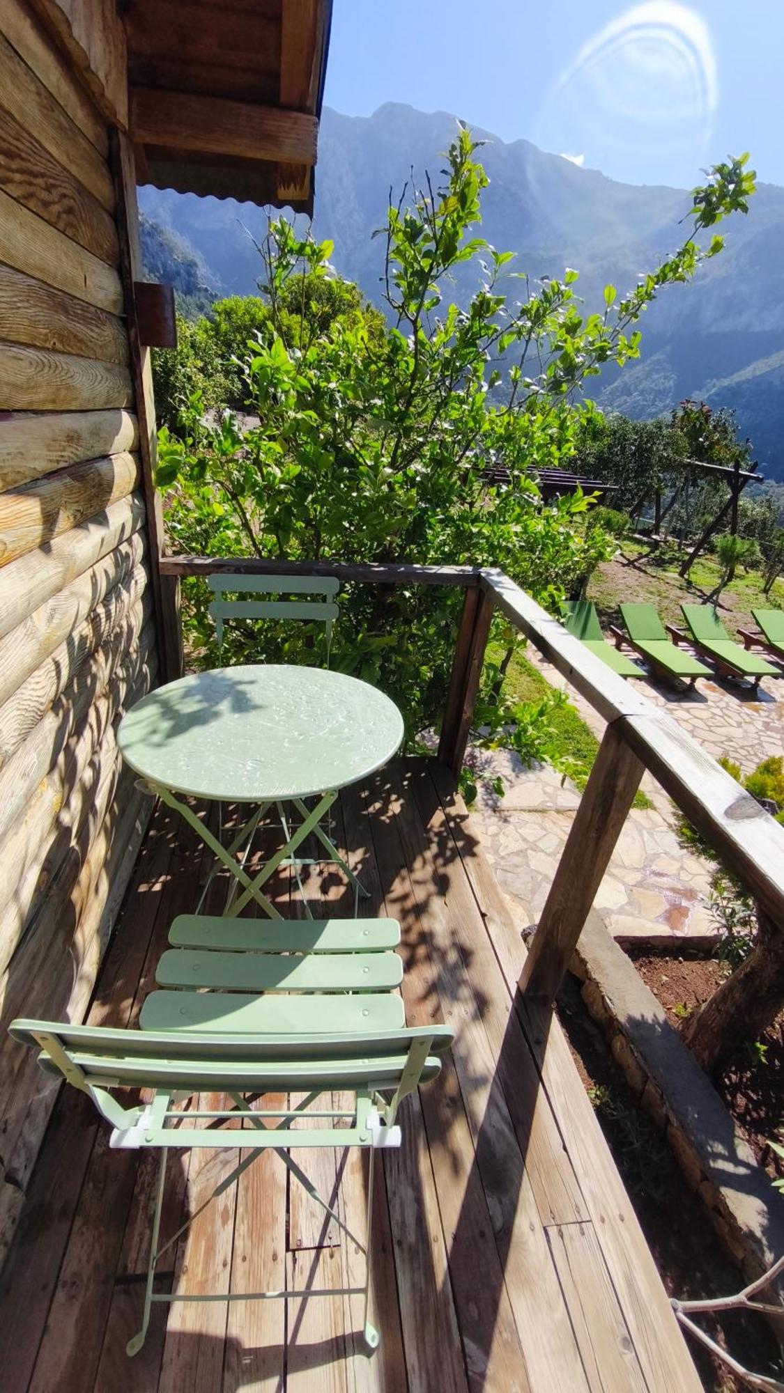 Olive Garden Kabak Hotel ฟารัลยา ภายนอก รูปภาพ