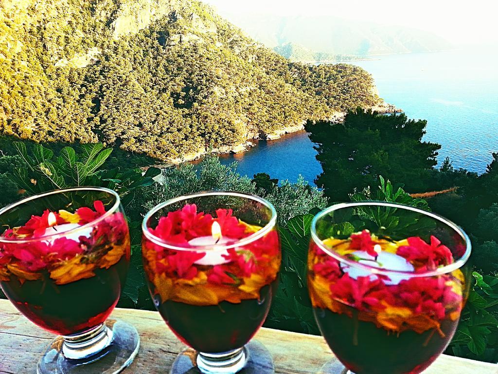 Olive Garden Kabak Hotel ฟารัลยา ภายนอก รูปภาพ