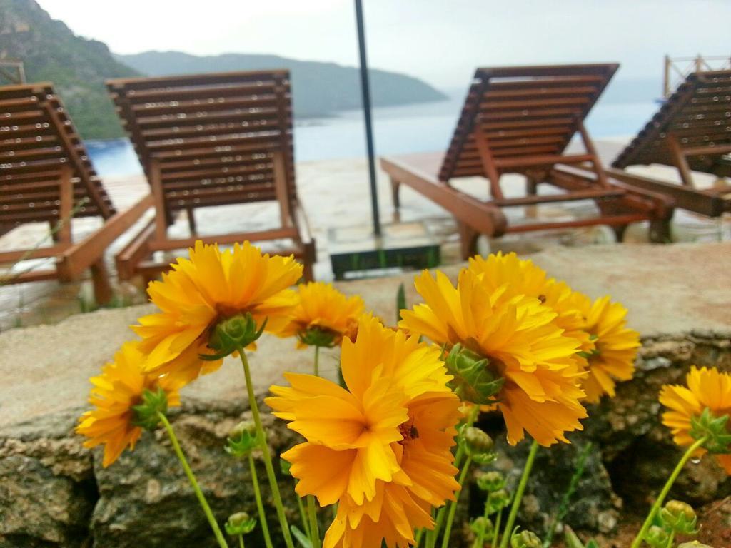 Olive Garden Kabak Hotel ฟารัลยา ภายนอก รูปภาพ