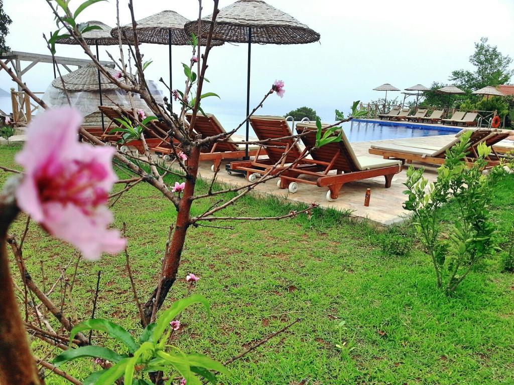 Olive Garden Kabak Hotel ฟารัลยา ภายนอก รูปภาพ