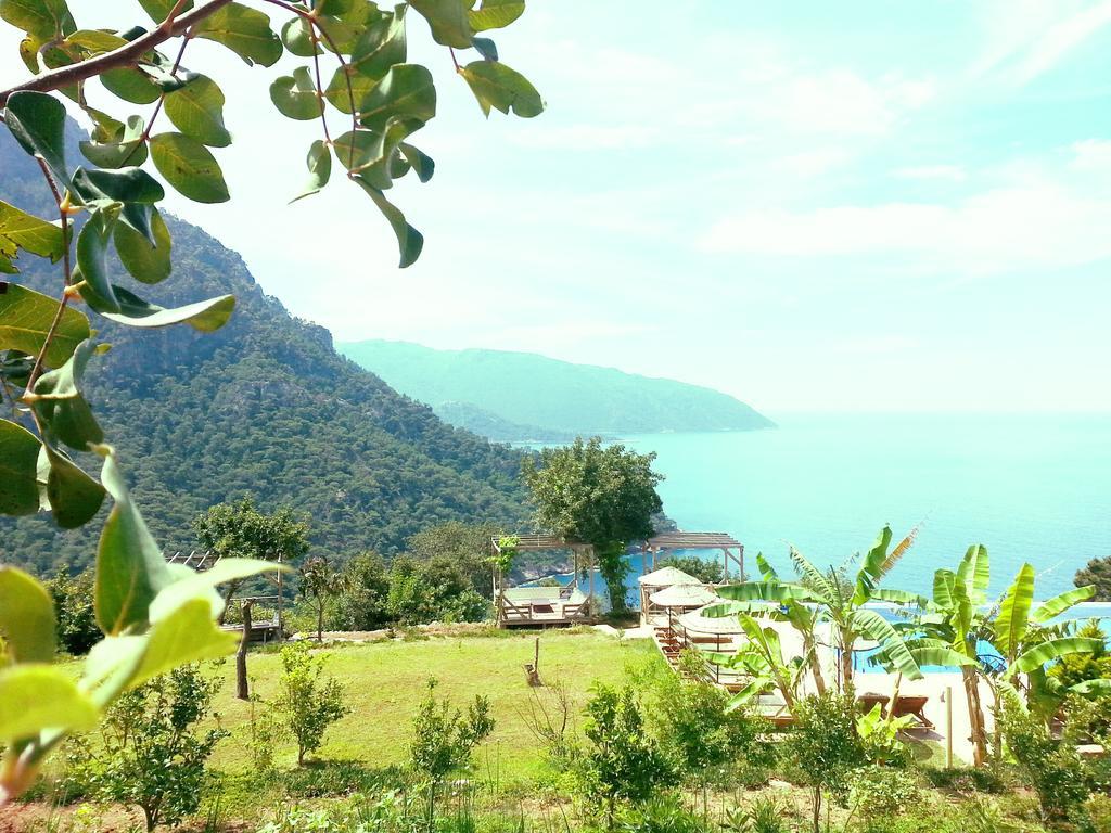 Olive Garden Kabak Hotel ฟารัลยา ภายนอก รูปภาพ