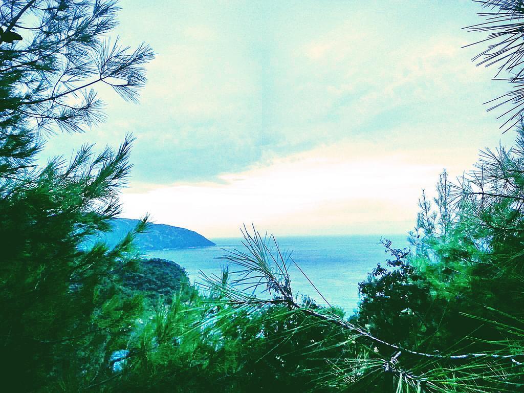 Olive Garden Kabak Hotel ฟารัลยา ภายนอก รูปภาพ