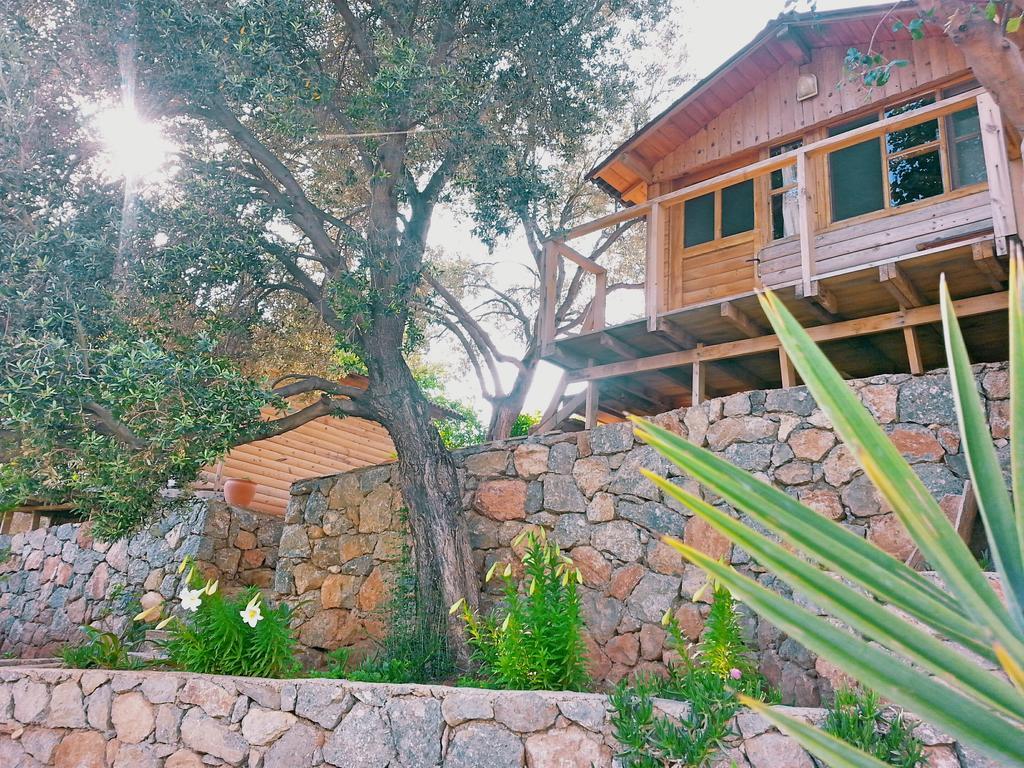 Olive Garden Kabak Hotel ฟารัลยา ภายนอก รูปภาพ