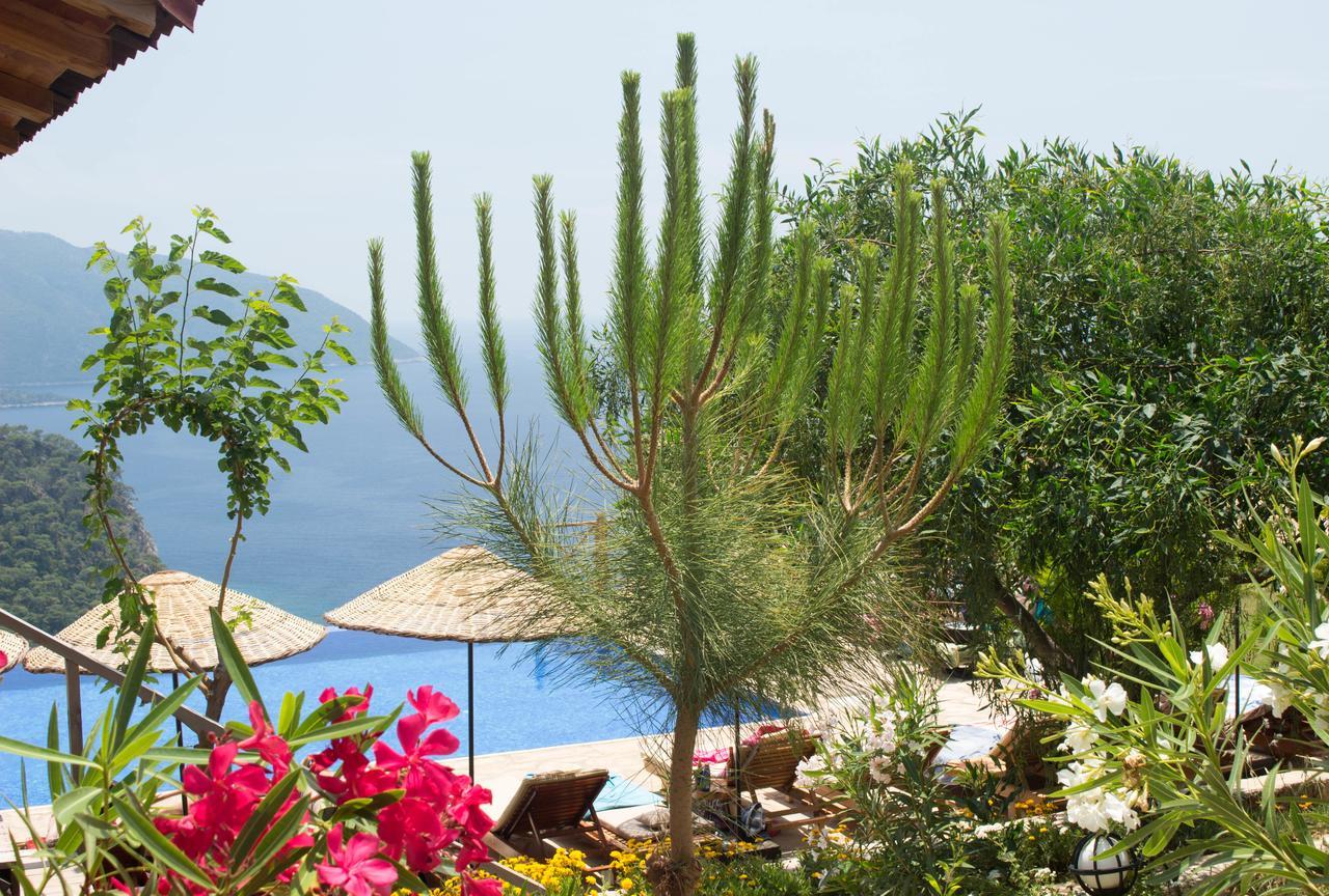 Olive Garden Kabak Hotel ฟารัลยา ภายนอก รูปภาพ