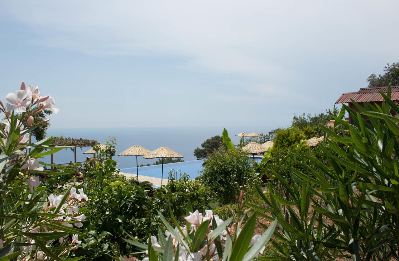 Olive Garden Kabak Hotel ฟารัลยา ภายนอก รูปภาพ